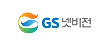 GS netvision